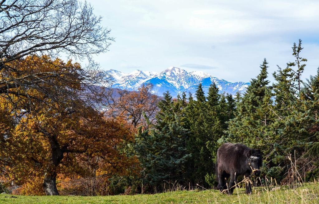 Вилла Agriturismo Montagnola Abruzzo Casalanguida Экстерьер фото